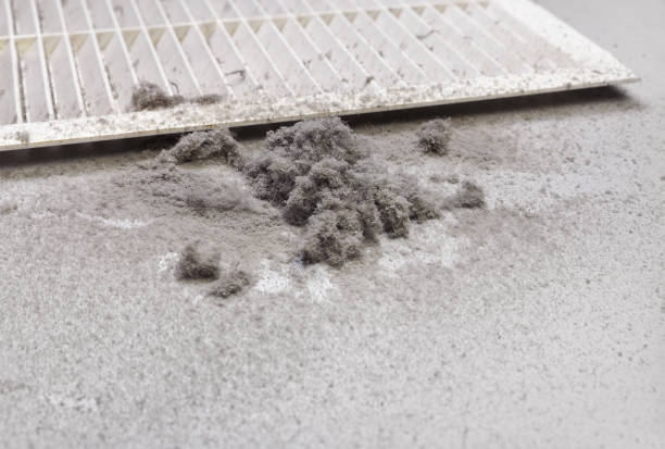 Best HVAC Air Duct Cleaning  in Newbern, TN